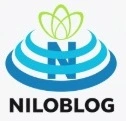 World Information Technology
